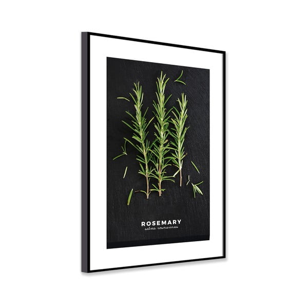 Plakat raamis 50x70 cm Rosemary - Styler-image-3