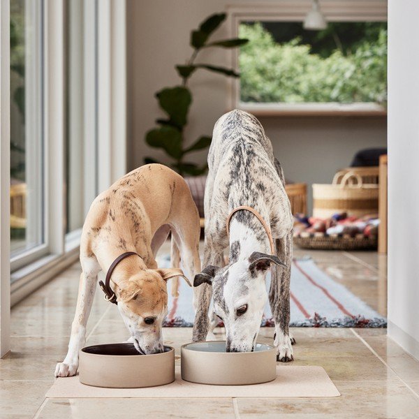 Keraamiline koerakauss ø 17 cm Sia - OYOY Living Design-image-3
