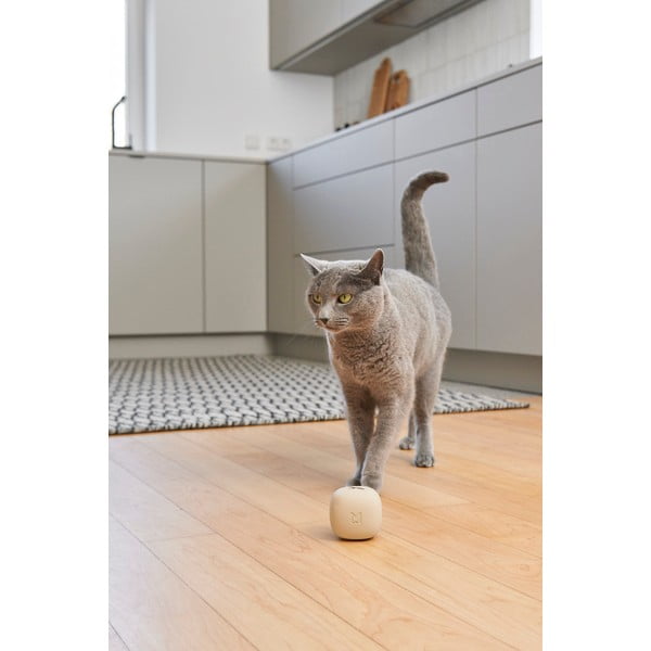 Kassi mänguasi Rotolo Greige - MiaCara-image-1