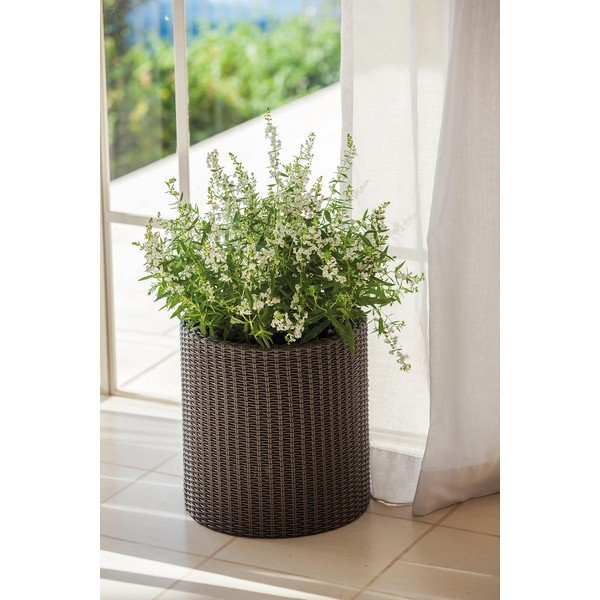 Plastikust pott ø 28 cm Cylinder - Keter-image-1