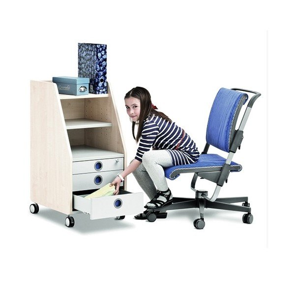 Kancelářské zásuvky Profi, dekor javoru-image-1