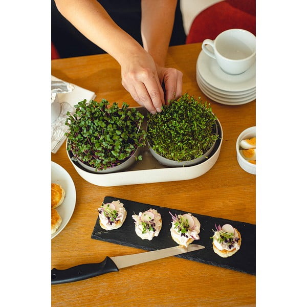 Idanemistaldrikute komplekt Velká farma Microgreens & Regrow - Plastia-image-3