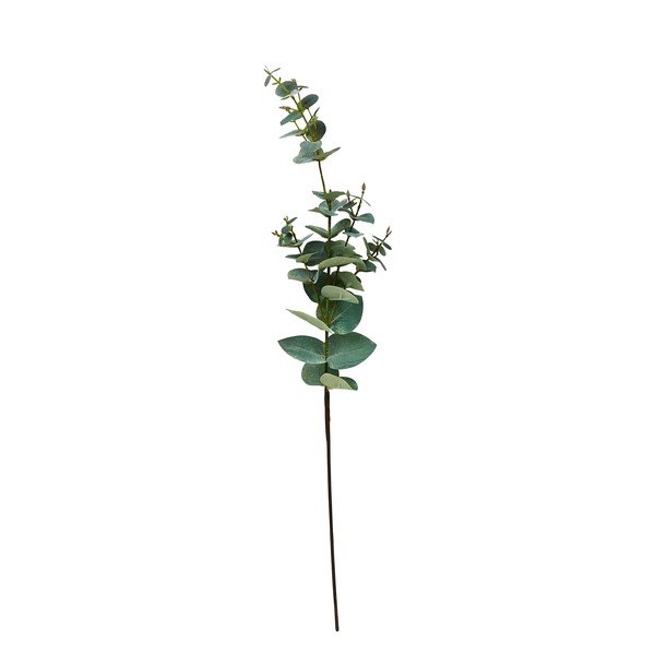 Kunstlik eukalüpt (kõrgus 71 cm) Kvist - Villa Collection