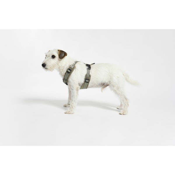 Roheline traksid S pikkus 30 cm Modena Grolive S – MiaCara-image-1