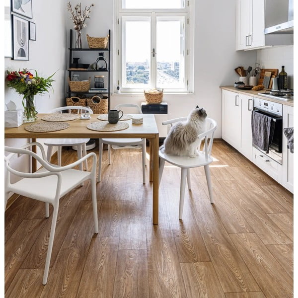 2 valge söögitooli komplekt Chaur Dali - Bonami Selection-image-1