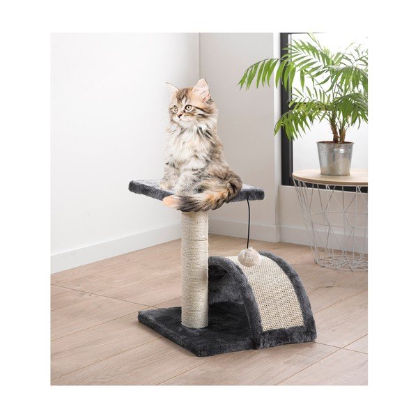 Kasside puhkepaik Little Model – Love Story-image-2
