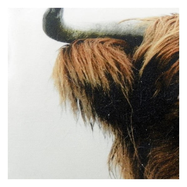Polštář Scottish Highlander 50x35 cm-image-1