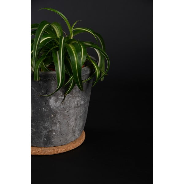 Kork taimealus ø 18 cm (kõrgus 1 cm) – Esschert Design-image-1