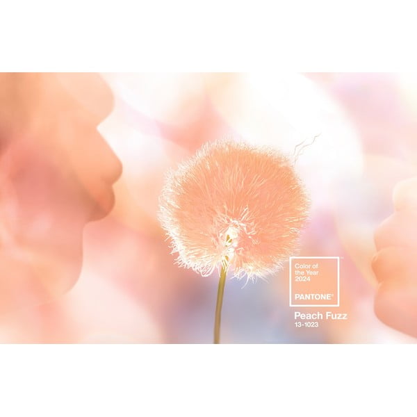 Oranž keraamiline kruus 375 ml Peach Fuzz 13-1023 - Pantone-image-4