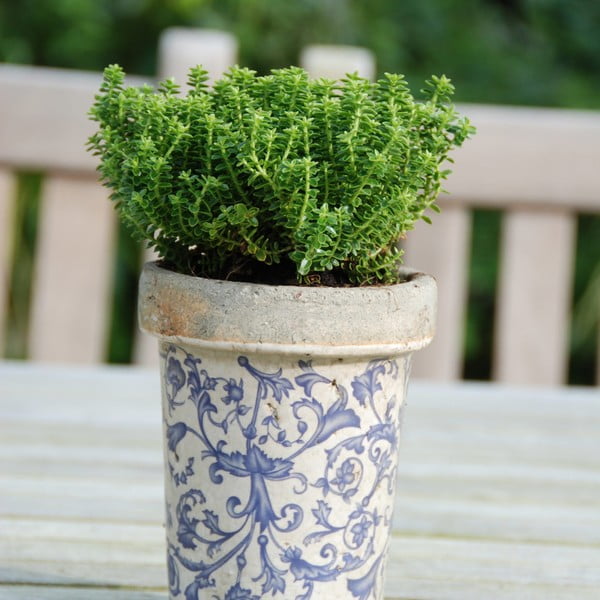 Keraamiline lillepott ø 13 cm – Esschert Design-image-2