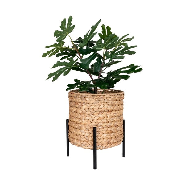 Vesihüatsindist pott ø 26,5 cm Antas - House Nordic-image-3