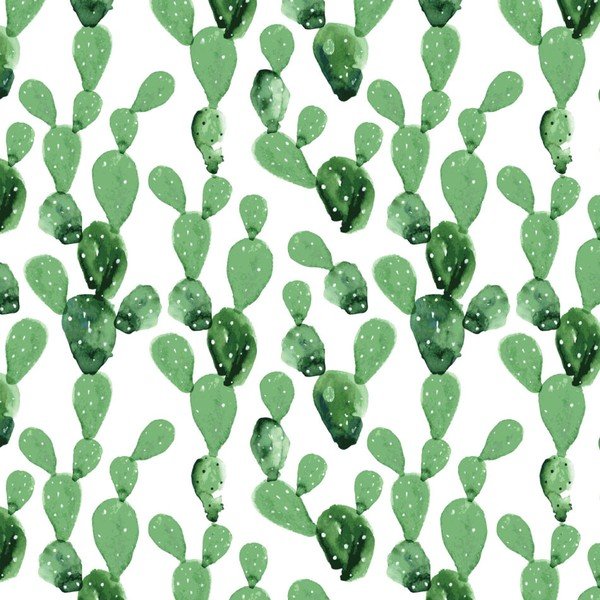 Tapeta na zeď Dekornik Cactus, 50 x 280 cm