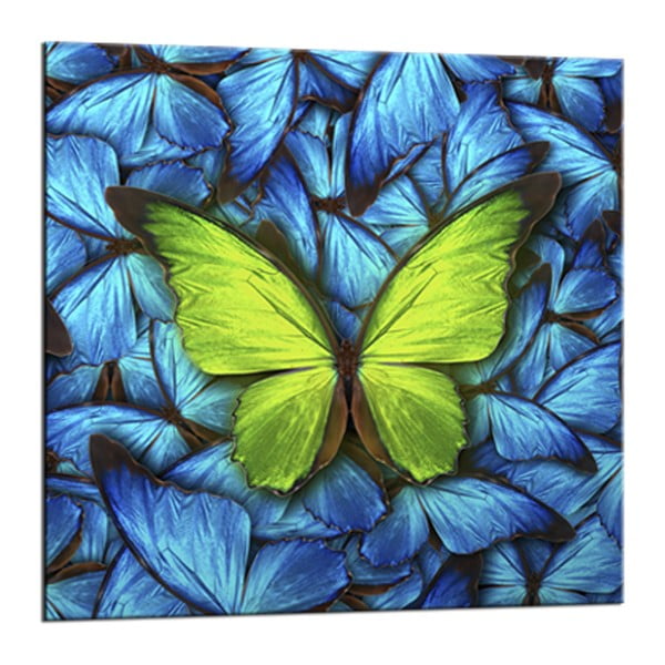 Pilt Glasspik Sinine , 20 x 20 cm Butterfly - Styler