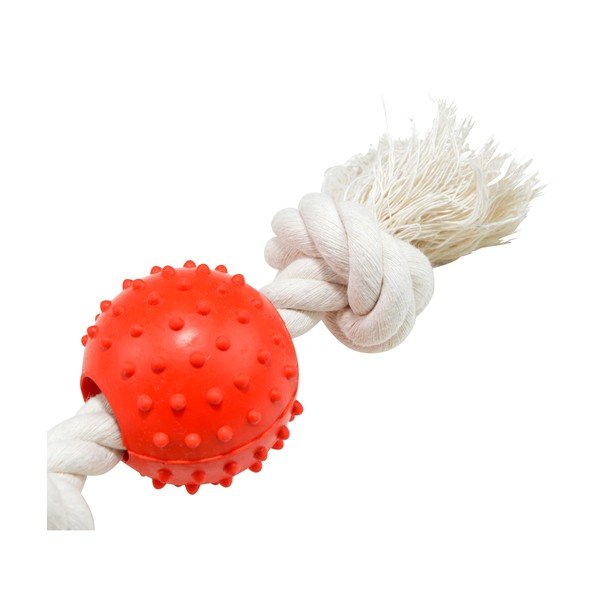 Koera mänguasi - Love Story-image-1