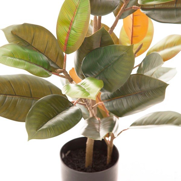 Kunstlik taim (kõrgus 90 cm) Ficus - Ixia-image-2