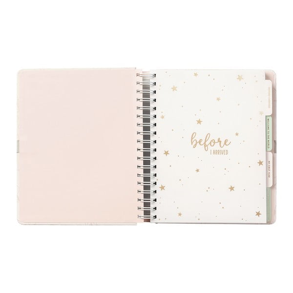 Beebipäevik 98 lk. Pink - Busy B-image-2