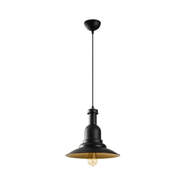 Černé kovové závěsné svítidlo Opviq lights Evgi