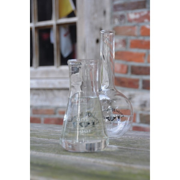 Klaasvaas (kõrgus 23 cm) Natural History - Esschert Design-image-1