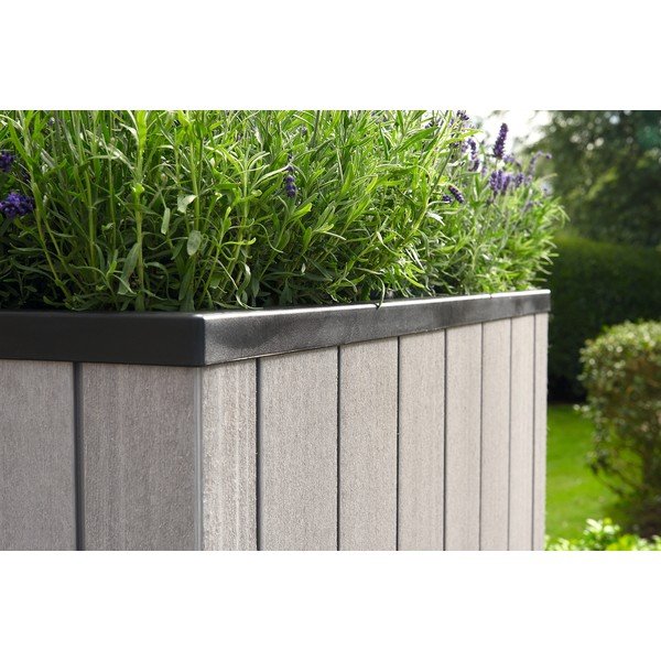 Tõstetud taimekast Sequoia Duotech - Keter-image-1