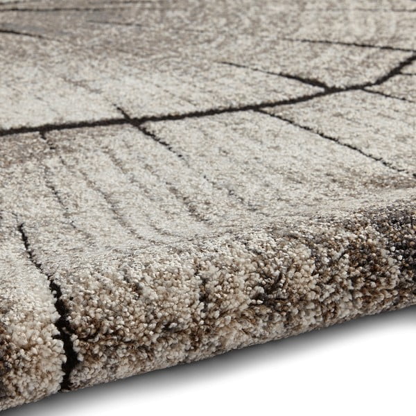 Beež vaip 230x160 cm Woodland - Think Rugs-image-2