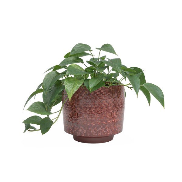 Keraamiline käsitöö lillepoti kate ø 21 cm Minerva - Artevasi