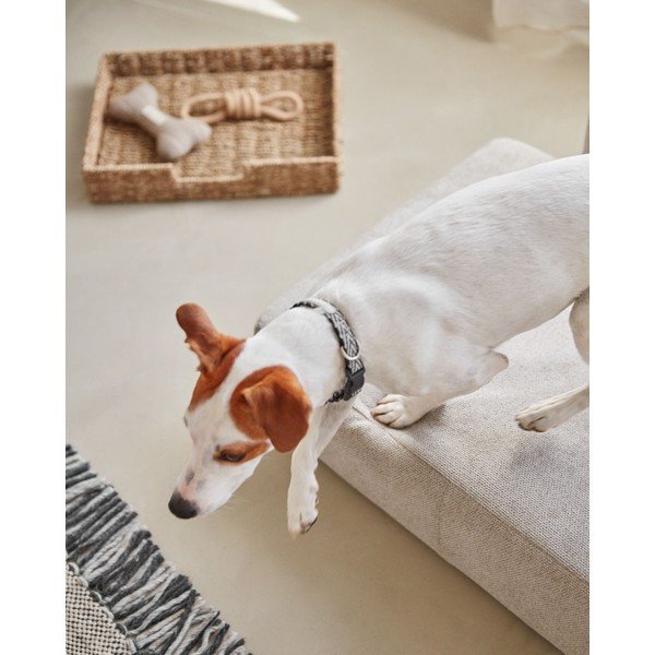 Beež koeravoodi 73x60 cm Bowie - Kave Home-image-2