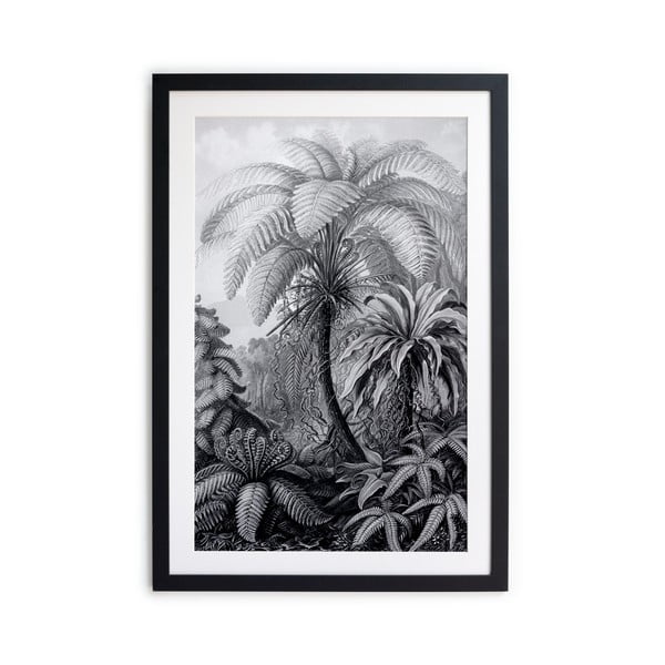 Must-valge plakat Palm, 60 x 40 cm BW Palm - Surdic