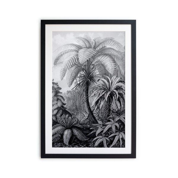 Must-valge plakat Palm, 60 x 40 cm BW Palm - Surdic