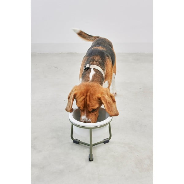 Portselanist koera kauss koos alusega ø 20 cm Pranzo Grolive M - MiaCara-image-1