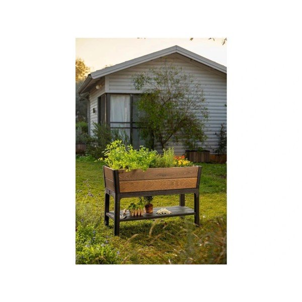 Kõrgpeenar Deco Walnut - Keter-image-1