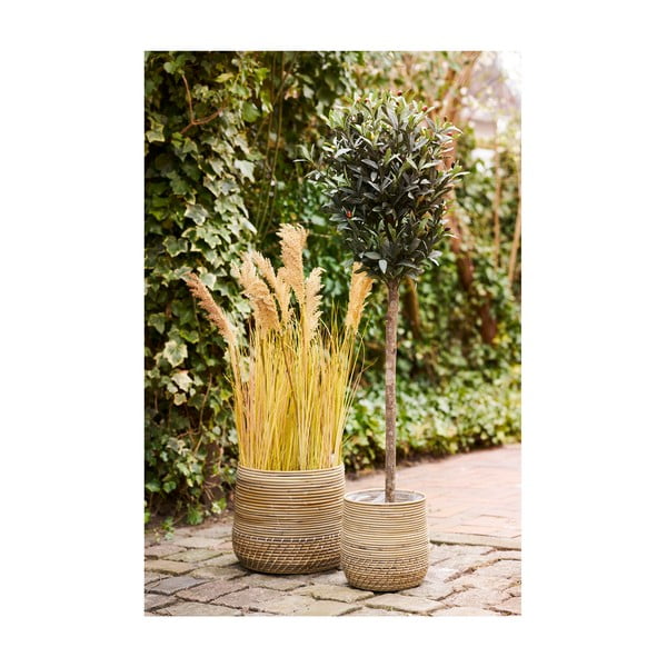 Moro korvid 2 tk - House Nordic-image-2