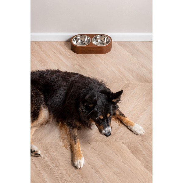 Puit kausside komplekt koos alusega Dinner Time – PT LIVING-image-1