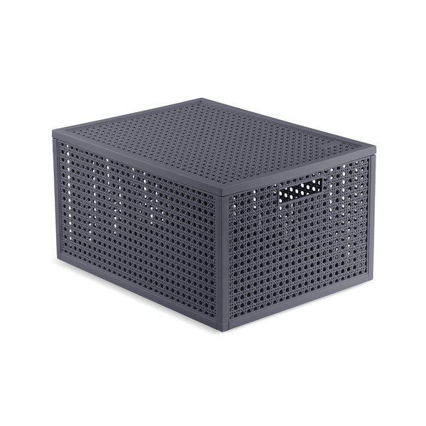 Tumehall hoiukast kaanega, valmistatud taaskasutatud plastist, 30x38x21 cm Kaya - Curver