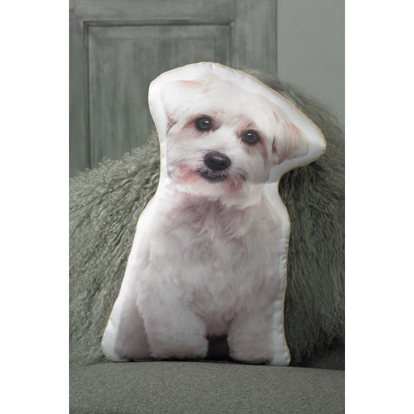 Polštářek s potiskem Maltézáčka Adorable Cushions-image-1