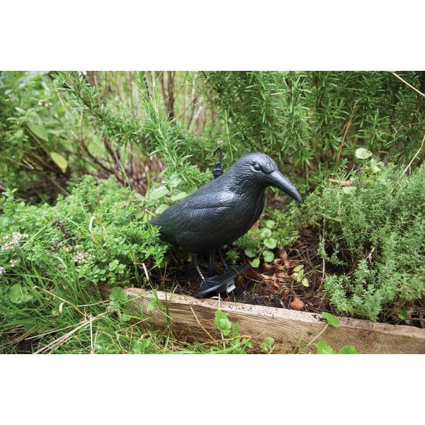 Plastmass hernehirmutis lindudele Crow – Esschert Design-image-3