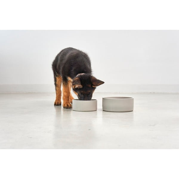 Portselanist kauss koerale ø 20 cm Scodella Greige M/L - MiaCara-image-1