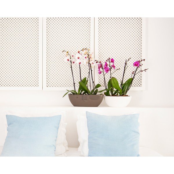 Taaskasutatud plastikust karp 35 cm Bahia - Artevasi-image-4