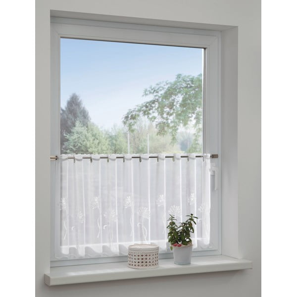 Valge voile kardin 140x48 cm Dandelion - Sehlbach-image-1