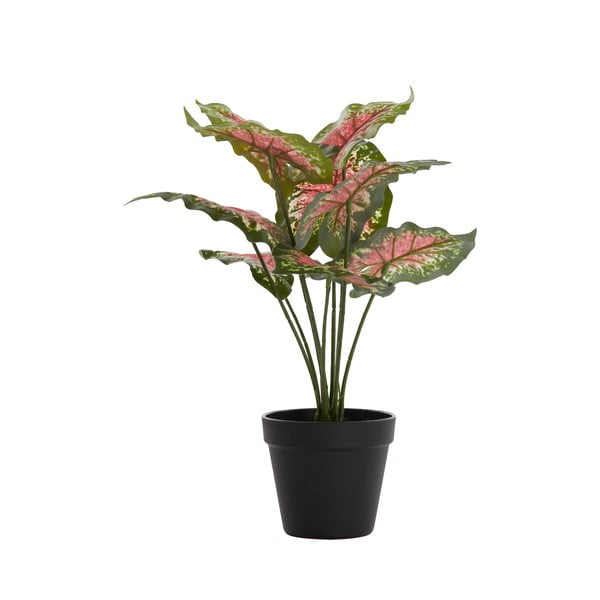 Kunstlik taim (kõrgus 40 cm) Caladium - Light & Living