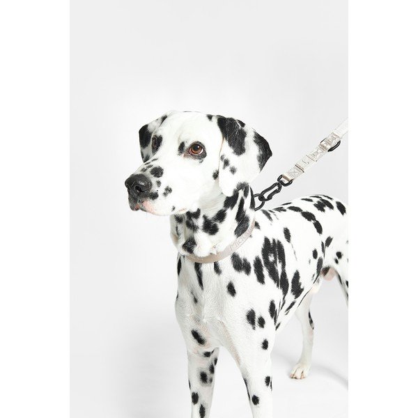 Tumehall kaelarihm M/L pikkus 35 cm Modena Asphalt M/ML – MiaCara-image-4