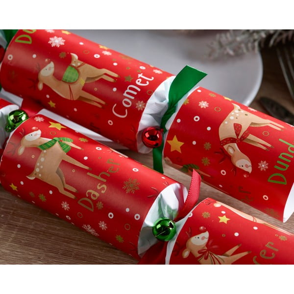 Jõulukrakkerid 6tk komplektis Rudolph & Friends - Robin Reed-image-2