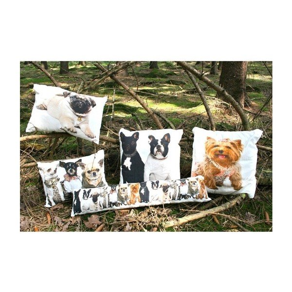 Polštář Chihuahuas 35x50 cm-image-2