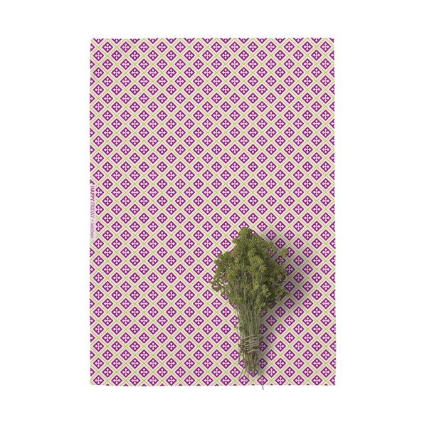 Komplekt 2 puuvillast köögirätikut, 70 x 50 cm Cactus - Happy Friday Basic-image-3