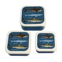 Tumesinised laste suupistekarbid, 3-osaline komplekt Sharks - Rex London