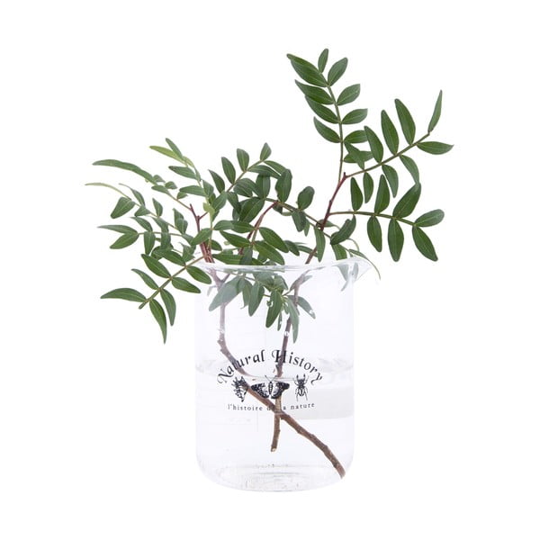 Klaasvaas (kõrgus 12 cm) Natural History - Esschert Design-image-1