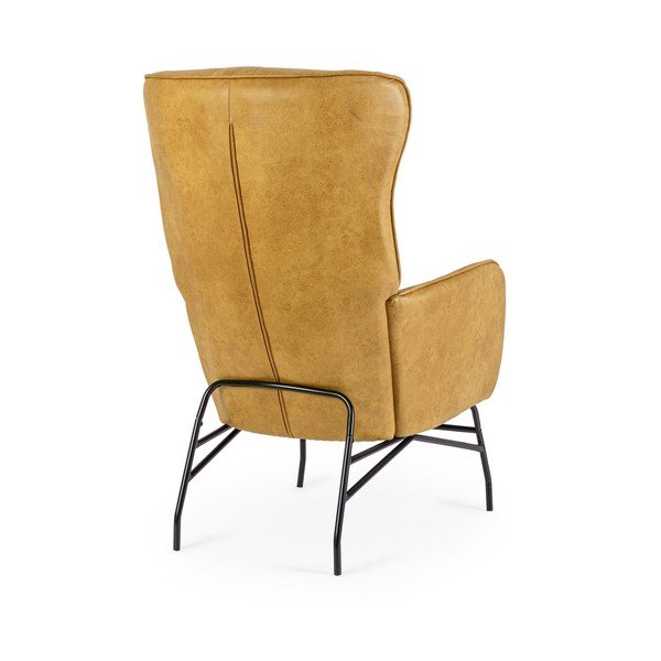 Sinepikarva kunstnahast tugitool Nasira - Bizzotto-image-4