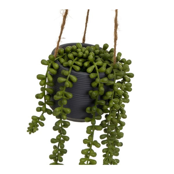 Kunstlik taim (kõrgus 37 cm) Senecio - Casa Selección-image-1