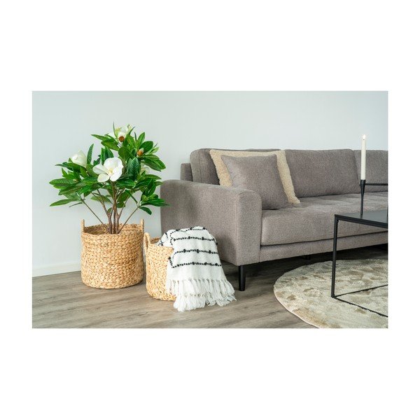 Tekk 170x130 cm Tinto - House Nordic-image-1