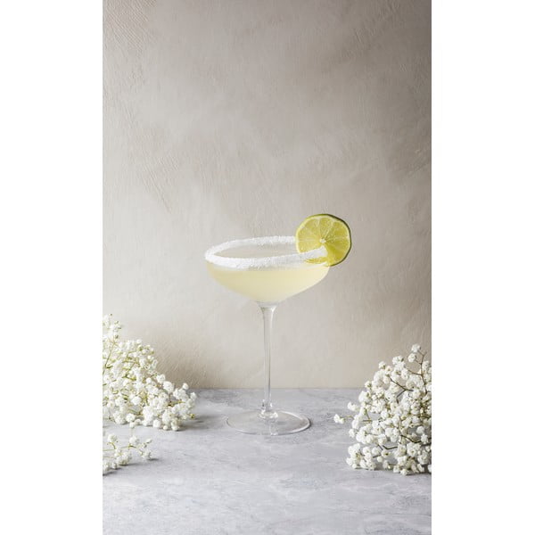 Šampanjaklaas Coupe, 200 ml - Eva Solo-image-3