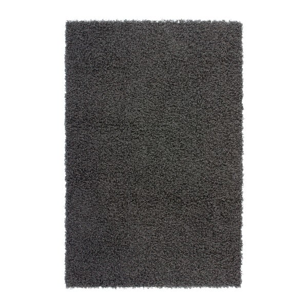 Černý koberec Obsession My Funky Anth, 60 x 110 cm
